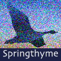 Springthyme Logo